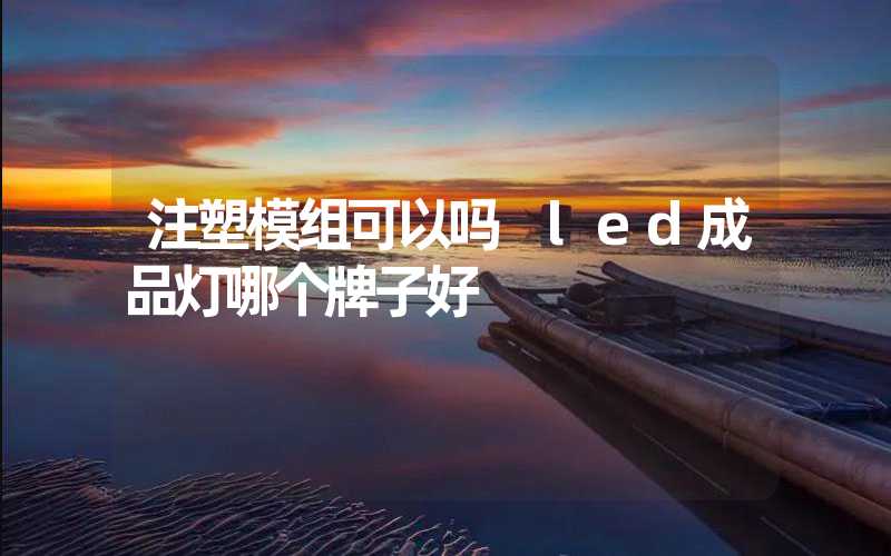 注塑模组可以吗 led成品灯哪个牌子好